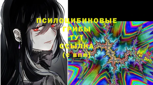 первитин Белоозёрский