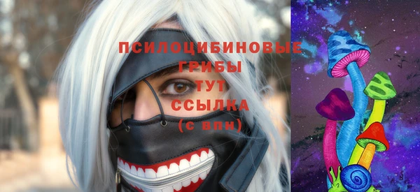 прущие крисы Белокуриха
