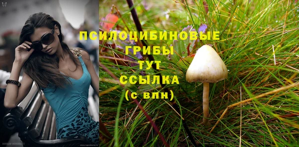 героин Заполярный