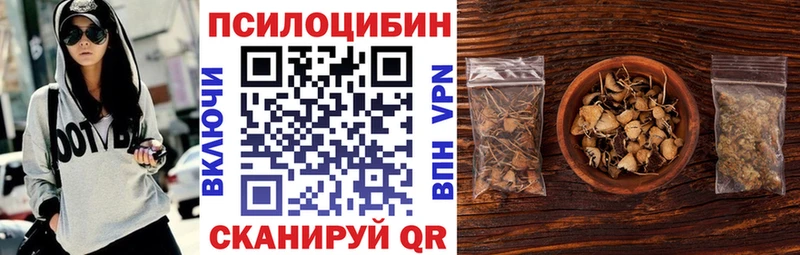 Псилоцибиновые грибы MAGIC MUSHROOMS  сколько стоит  блэк спрут ссылка  Городец 
