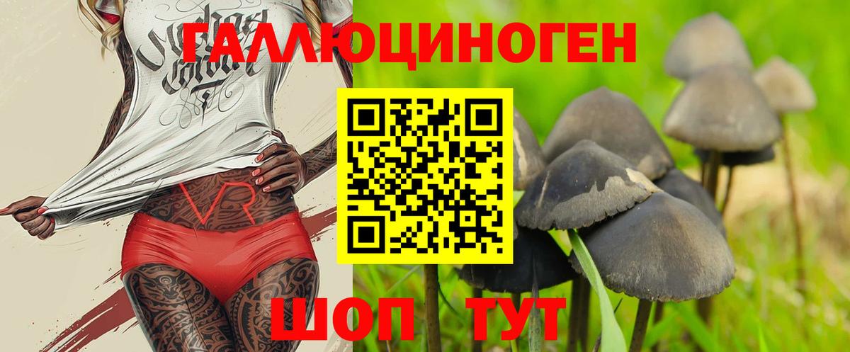 Псилоцибиновые грибы прущие грибы  Вход с VPN  Городец 